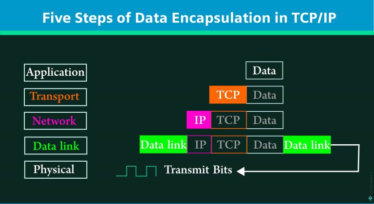 Data Encapsulation and Decapsulation | NetworkByte